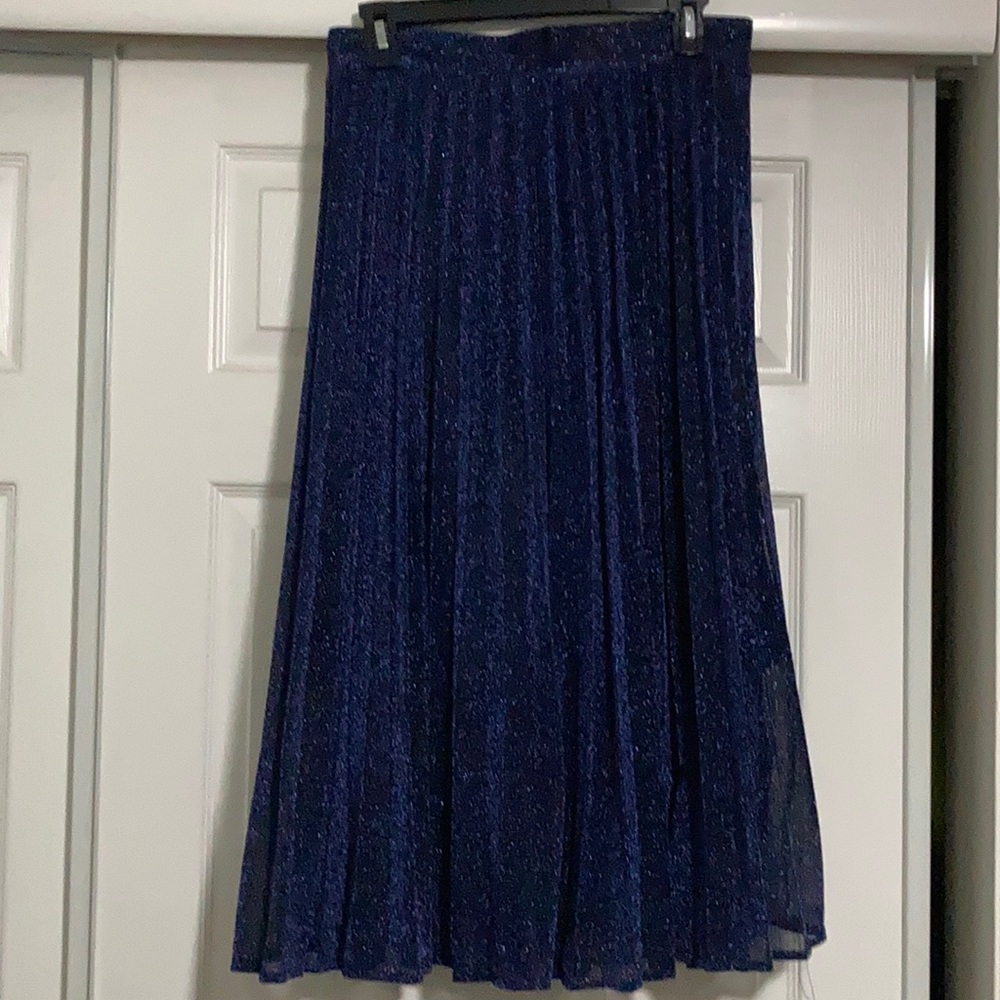 Sparkly Midnight Blue Pleated Skirt